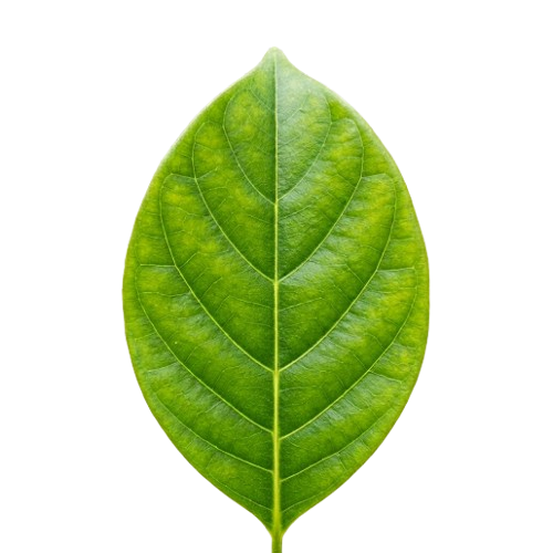 ThrivNaturally